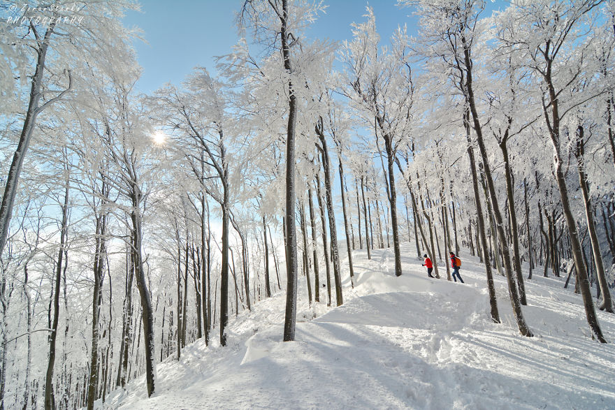 I Went Hiking In The Mountains Of Northern Croatia After Heavy Snowfall