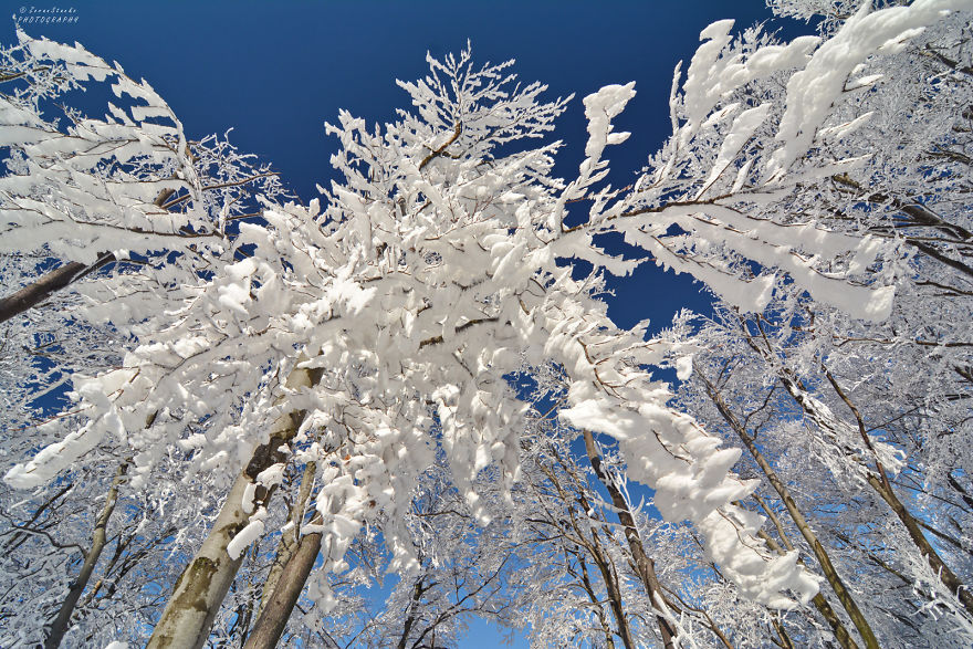 I Went Hiking In The Mountains Of Northern Croatia After Heavy Snowfall