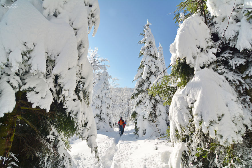 I Went Hiking In The Mountains Of Northern Croatia After Heavy Snowfall