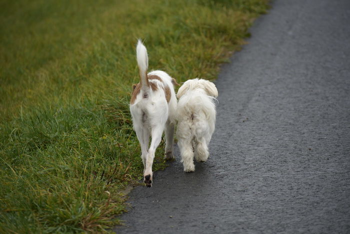 Wir Sind Dann Mal Weg....