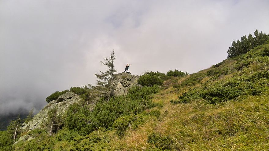 I Have Became Lonely Travelerer