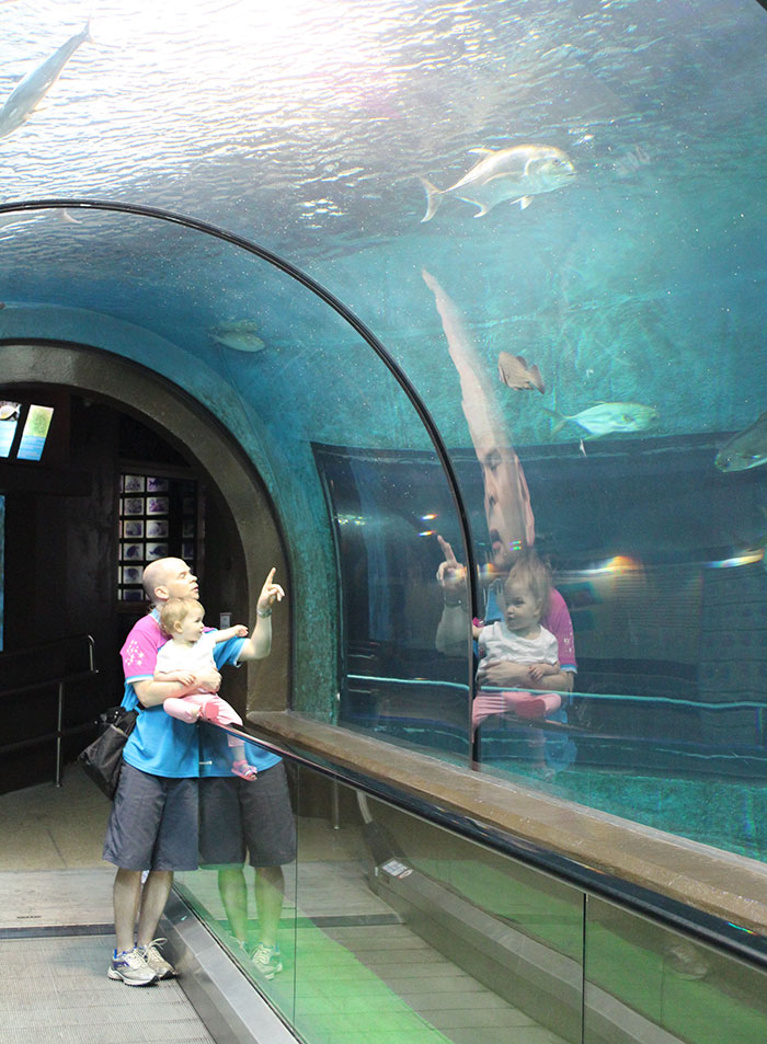 The Reflection Makes This Guy Look Like A Conehead