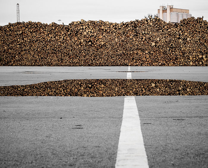 A Pile Of Timber Reflecting In A Puddle