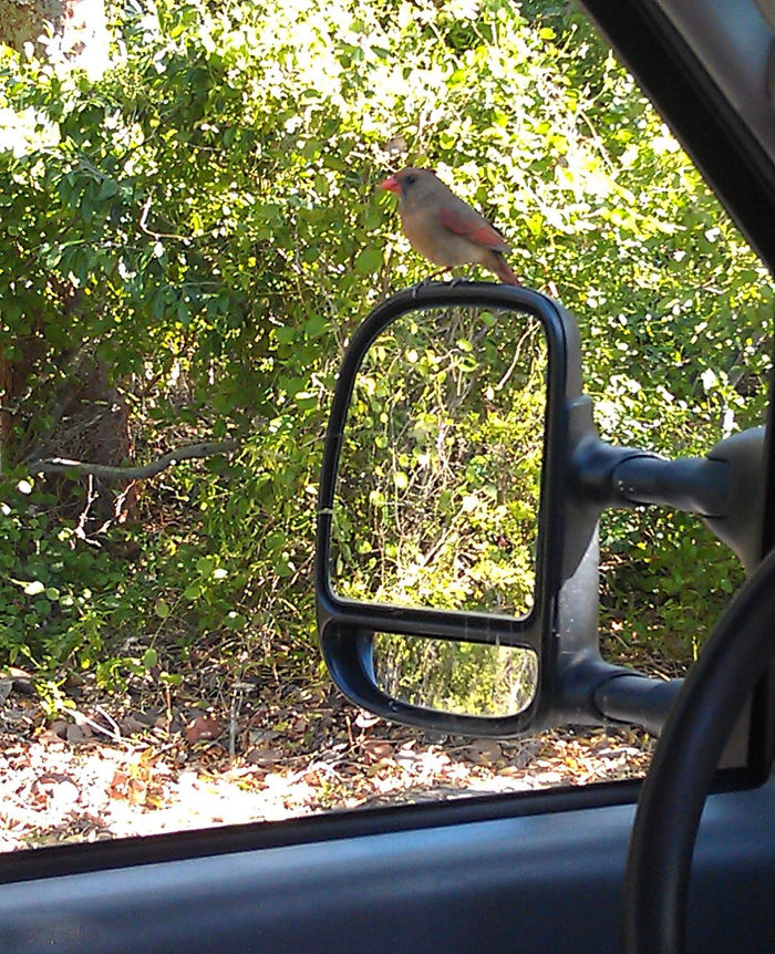 The Reflection Makes It Look Like There Is No Back To The Mirror