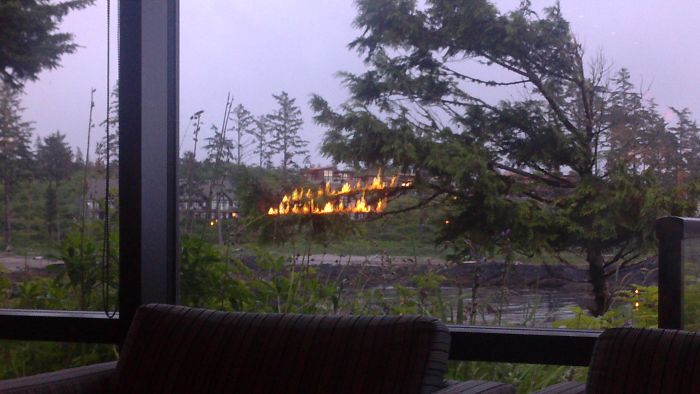 Reflection Of Fireplace Made It Look Like Branches Were On Fire Outside
