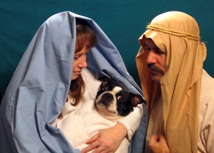 Nativity