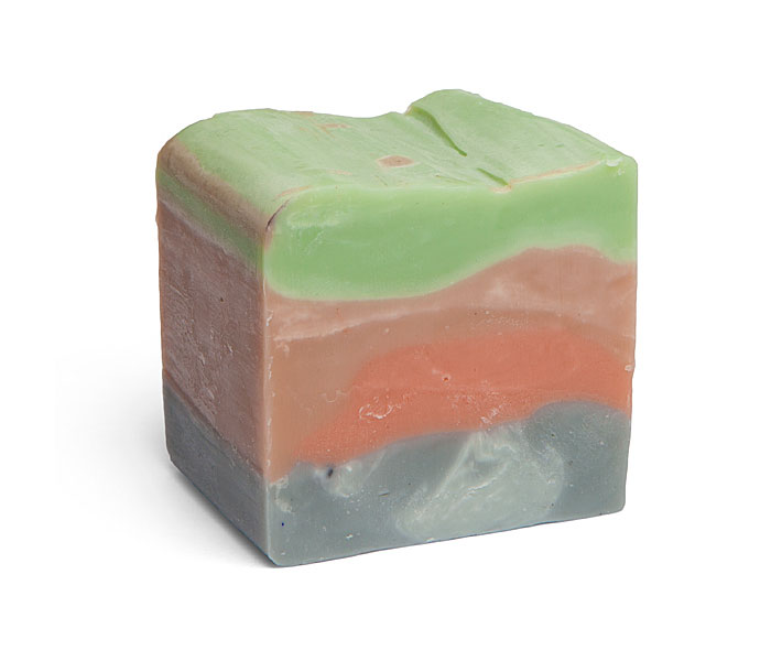 archaeology-soap-dinosaurs-outlaw-soaps-2 archaeology-soap-dinosaurs-outlaw-soaps-2