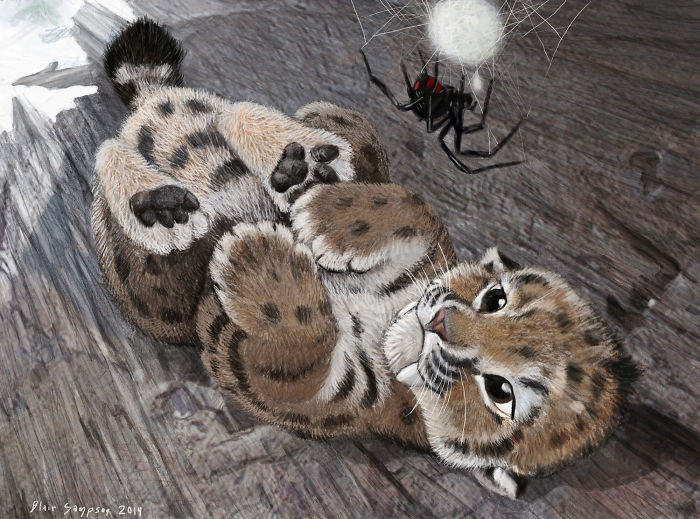 Realistic-animal-drawings-psithyrus-blair-sampson