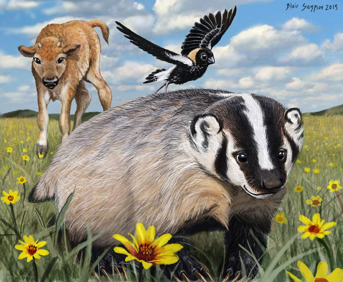 Realistic-animal-drawings-psithyrus-blair-sampson