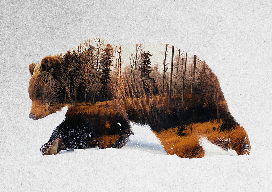 I Combine Animals And Landscapes In My Double Exposure Artwork