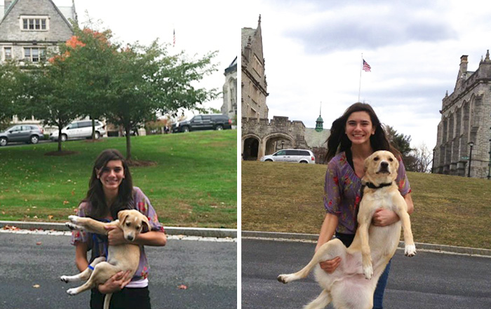 Fourteen Dog Years Later