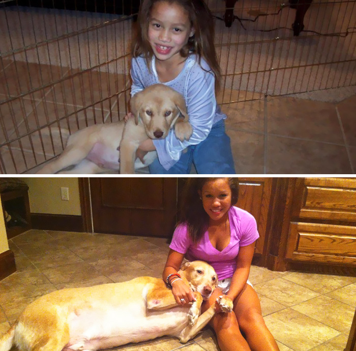 Dogs Are Family For Life. Sam And Savannah