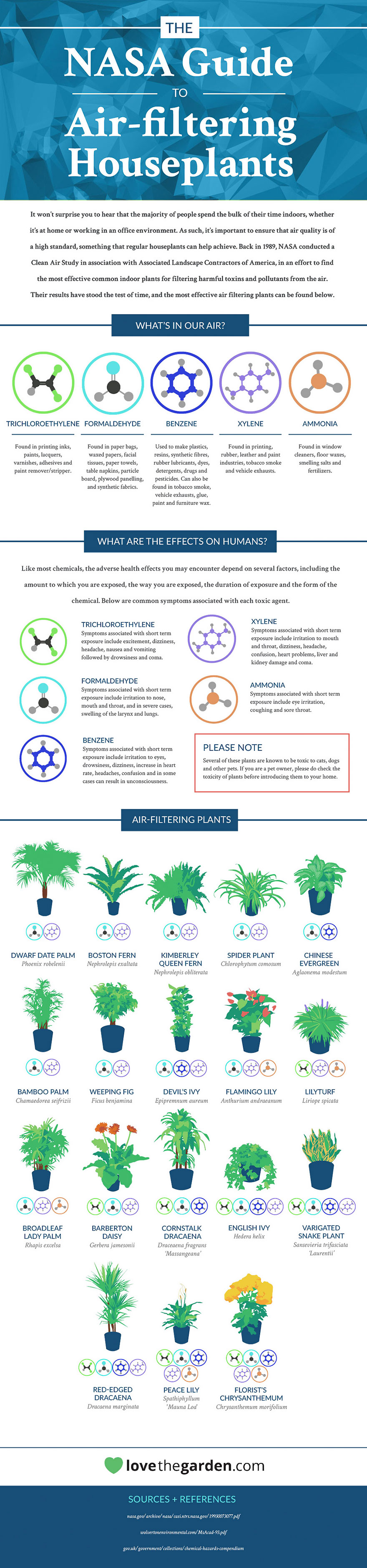 best-air-filtering-houseplants-nasa-1 best-air-filtering-houseplants-nasa-1