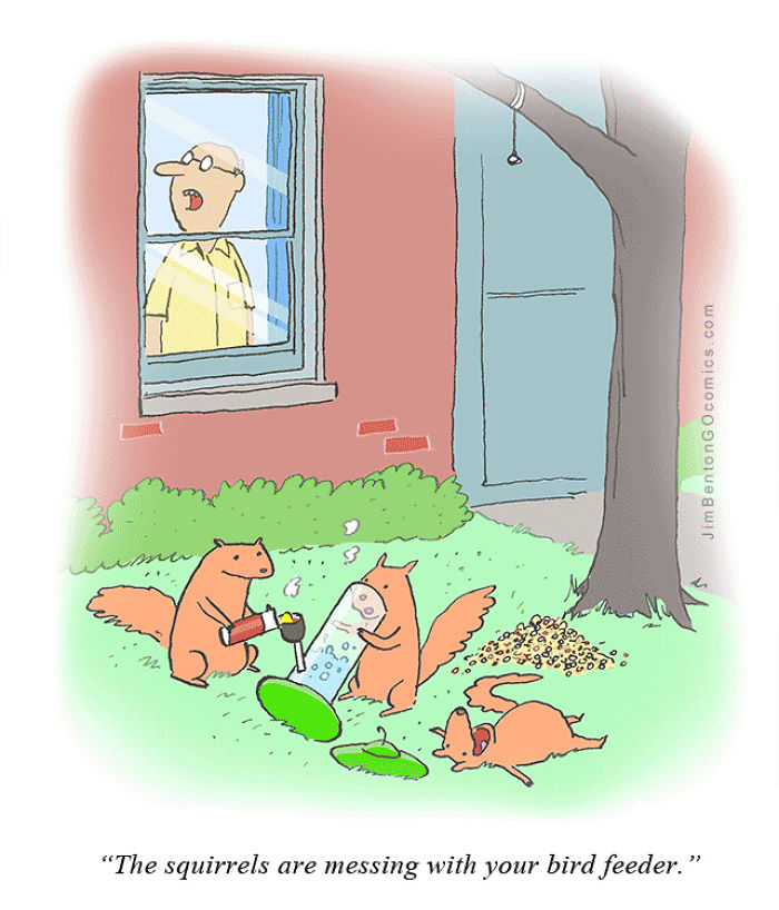 A Few Animal Cartoons By Jim Benton