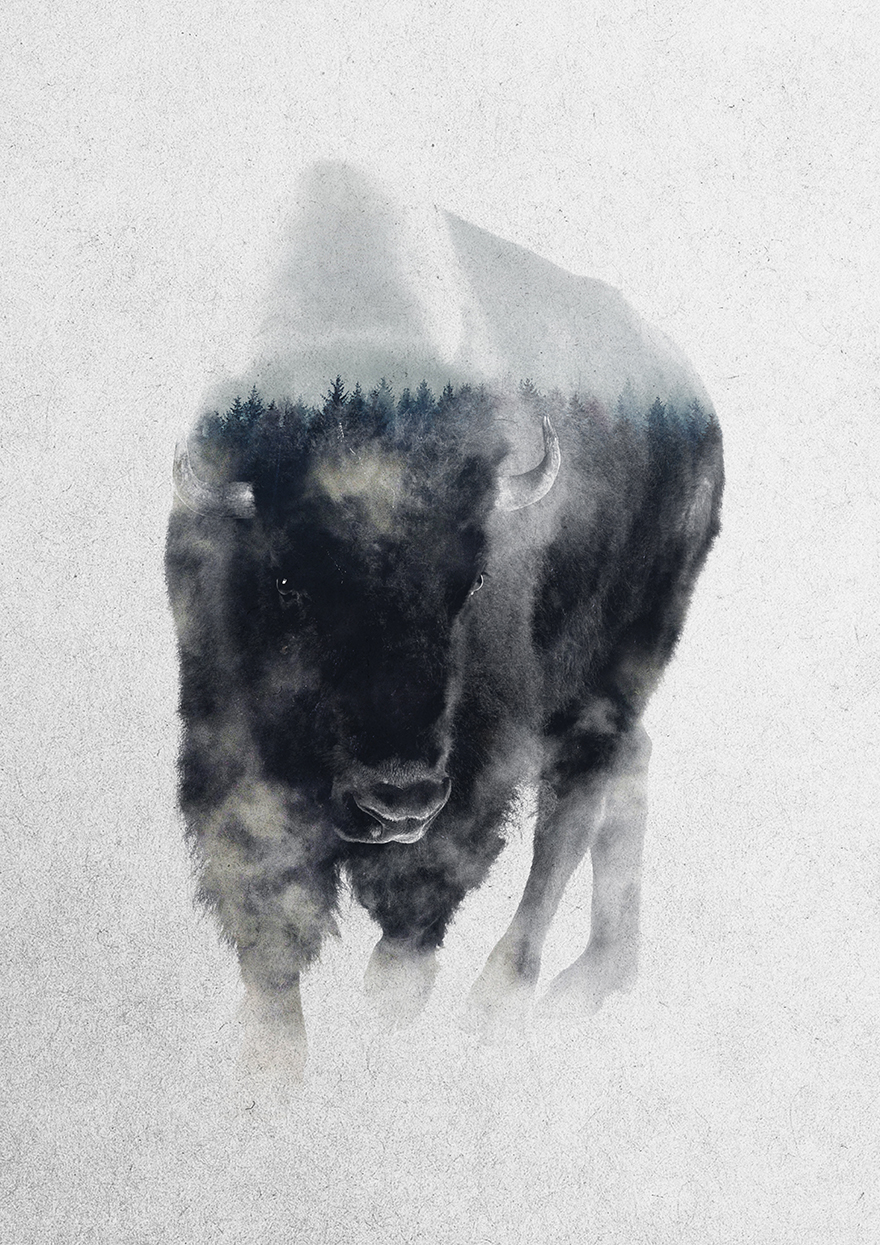 I Combine Animals And Landscapes In My Double Exposure Artwork