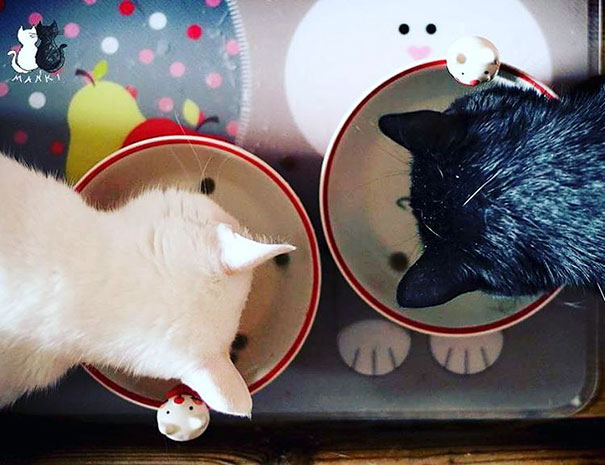 Hungry Marcelka And Maniek