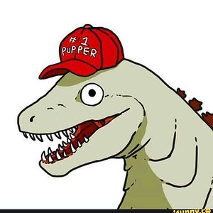 lina-engelbrecht avatar