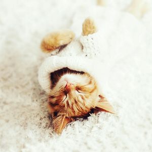 allma-ssanchez avatar