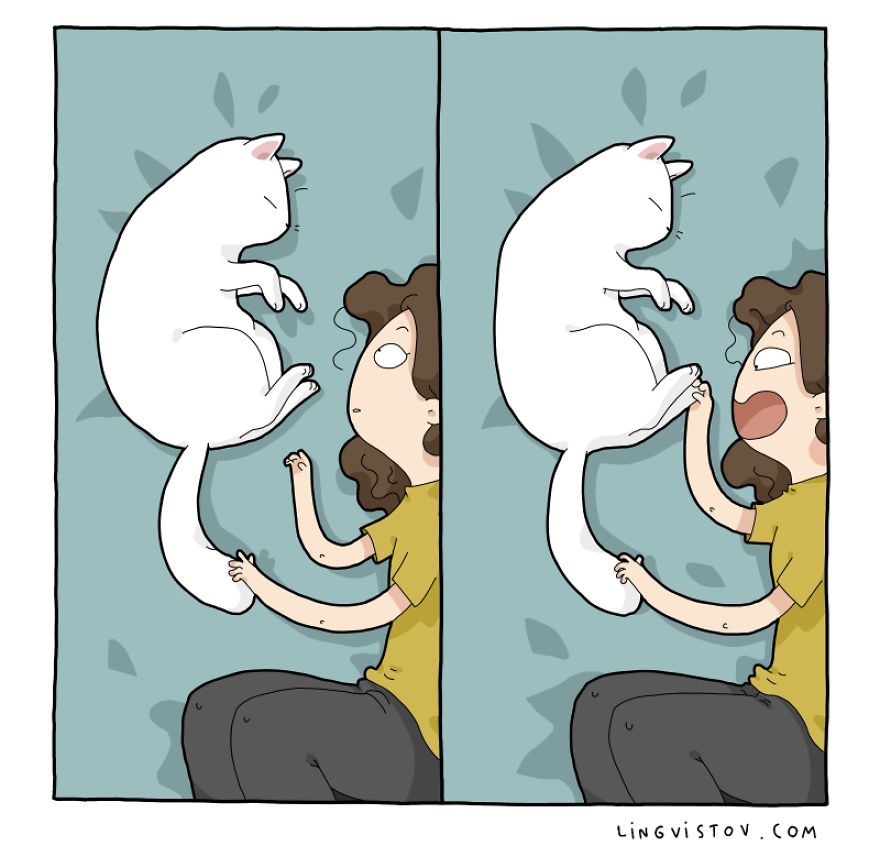Comics About Life With A Cat