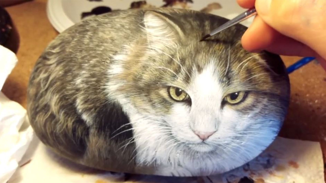 This Cat Is Actually A Rock