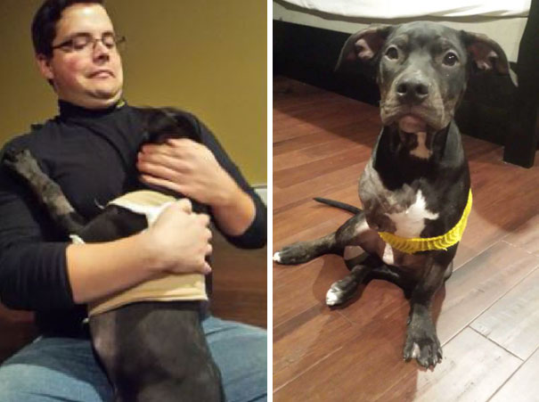 cop-adopts-three-legged-puppy-jack-6