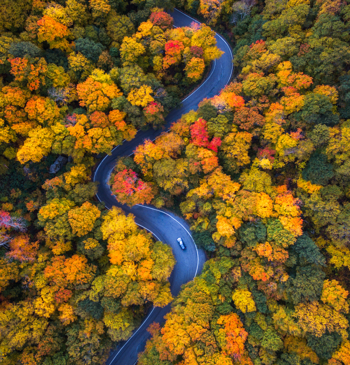 We Drove Through Every State In Northeast US To Photograph The Beauty Of Fall