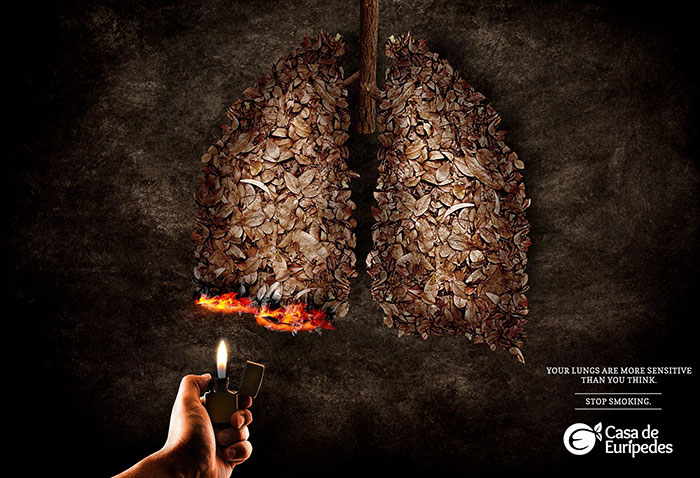 Your Lungs Are More Sensitive Then You Think. Stop Smoking