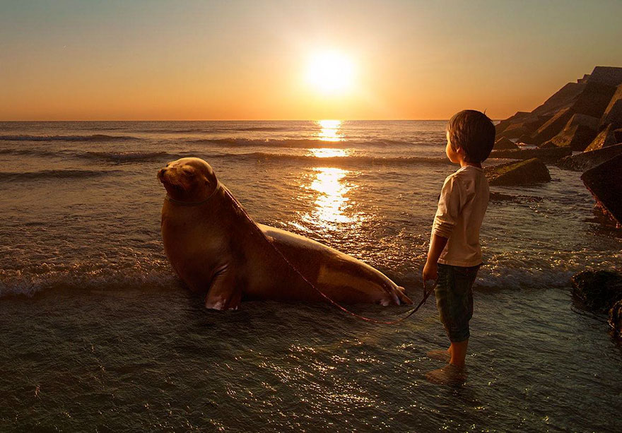 Digital Manipulation Photography