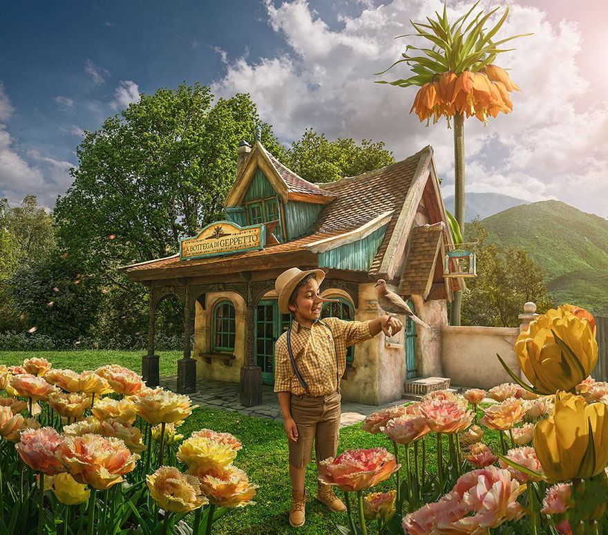 Digital Manipulation Photography