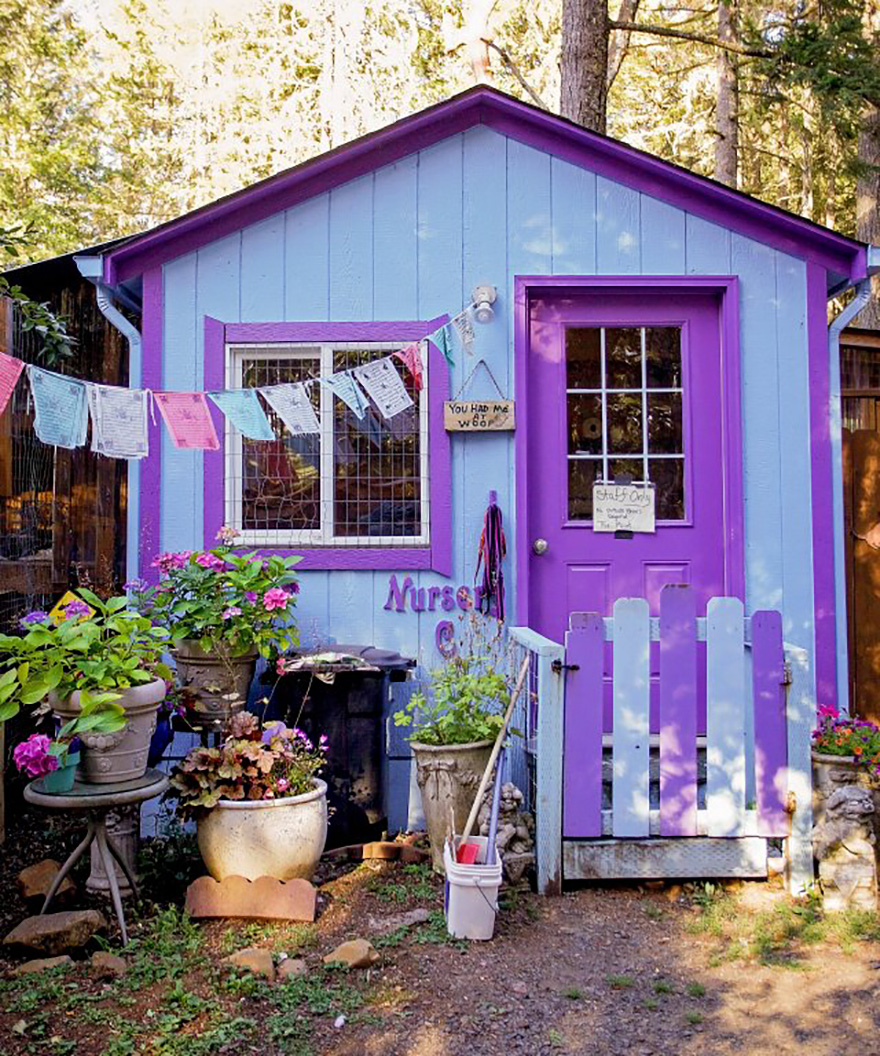 dog-cottages-oregon-shelter-1a dog-cottages-oregon-shelter-1a