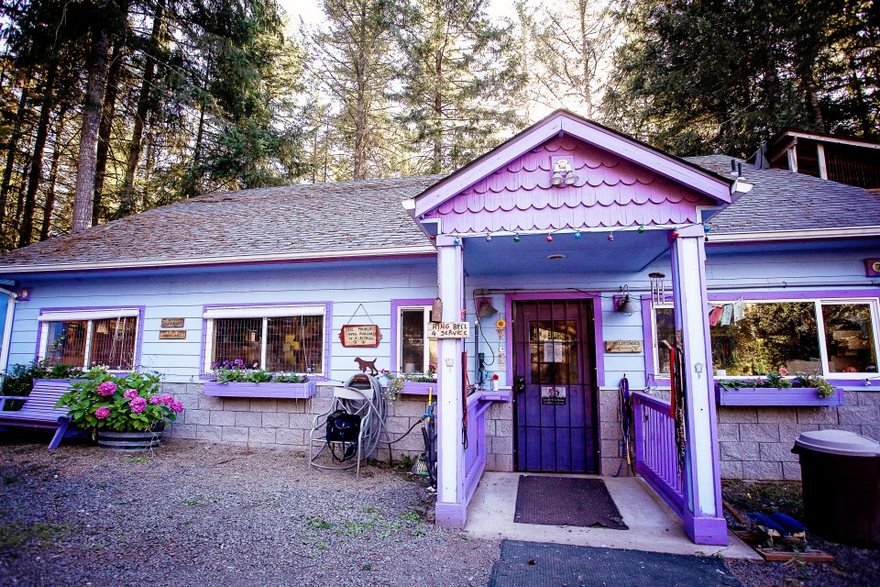 dog-cottages-oregon-shelter-2 dog-cottages-oregon-shelter-2