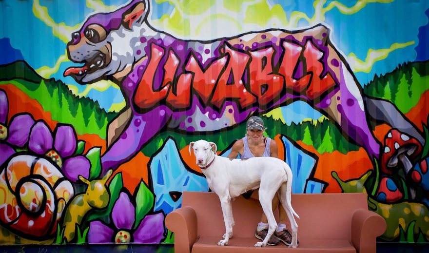 dog-cottages-oregon-shelter-5 dog-cottages-oregon-shelter-5