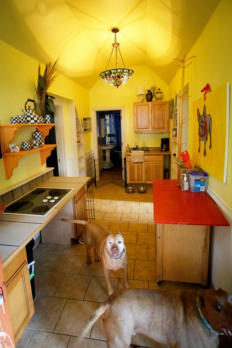 dog-cottages-oregon-shelter-6 dog-cottages-oregon-shelter-6