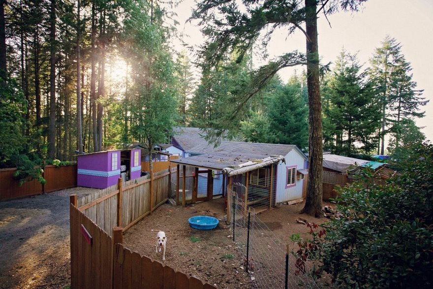 dog-cottages-oregon-shelter-8 dog-cottages-oregon-shelter-8