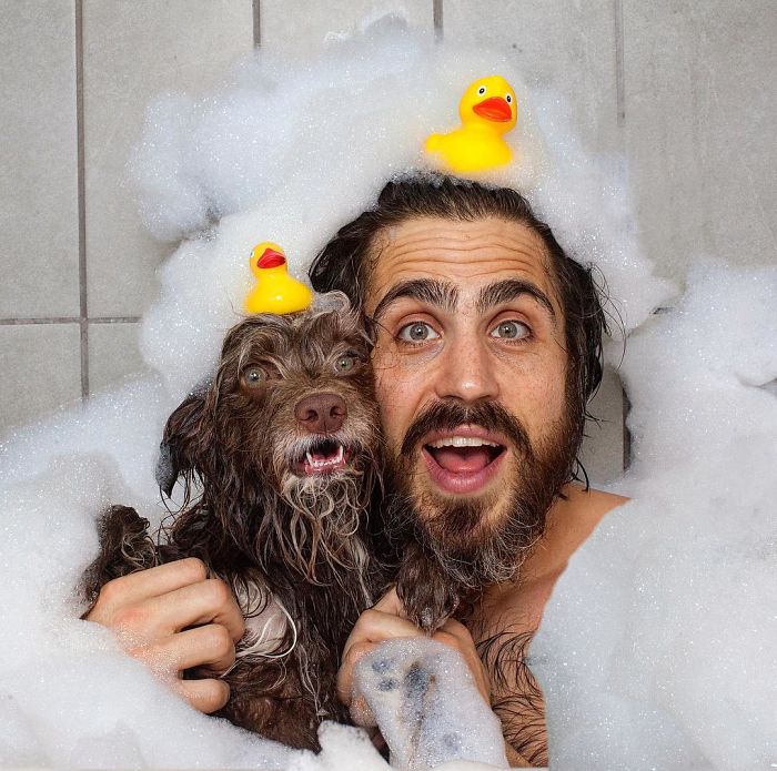 Dog And Human Dressed In Matching Outfits