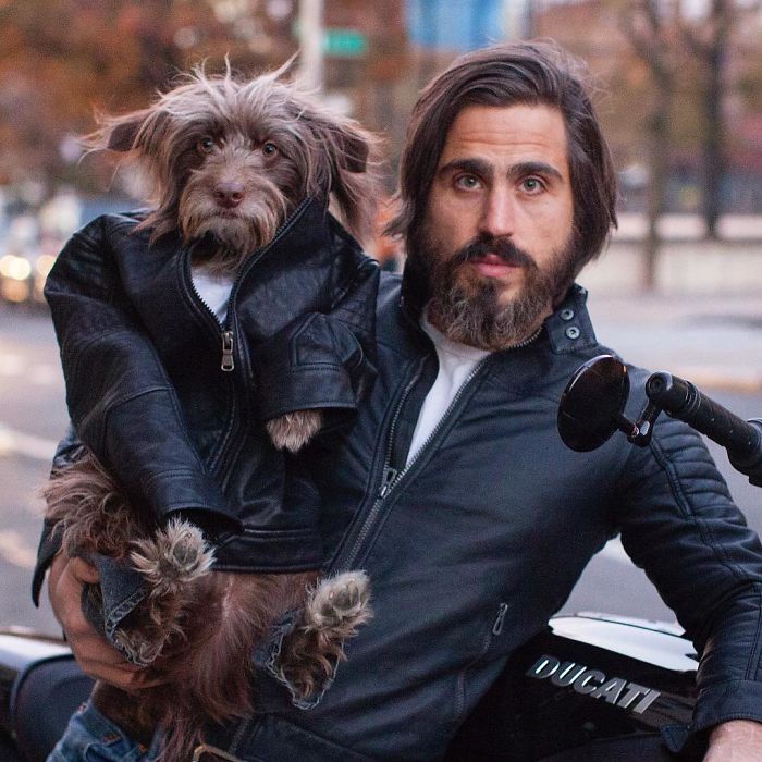 Dog And Human Dressed In Matching Outfits