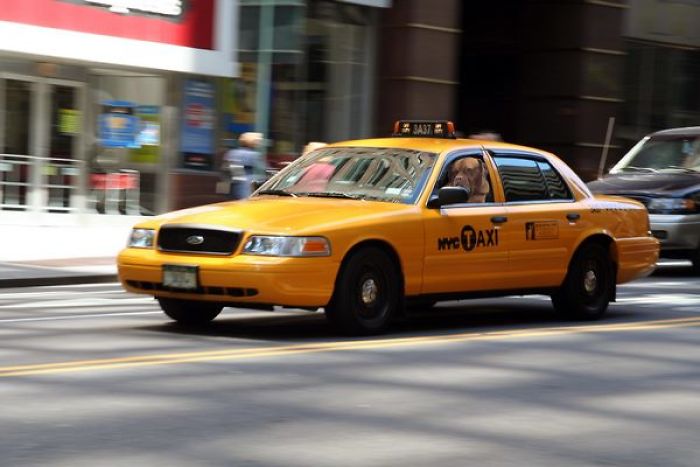 Did Someone Call A Cab?
