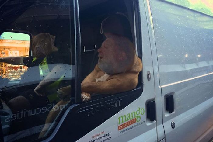 Where Are We Going Dude?