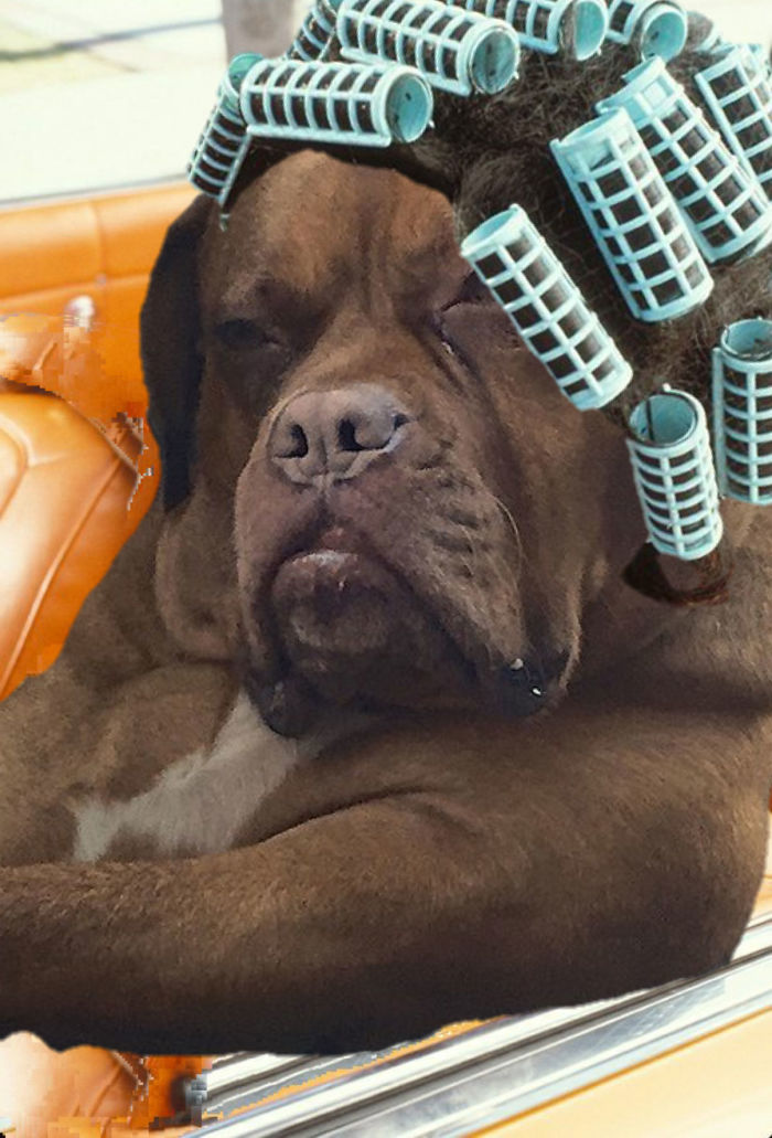 I Don't Think You Applyin' Yo'self, Smokie!