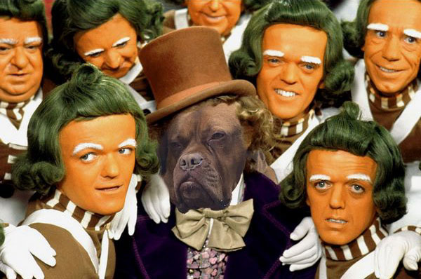 Am I Look Like Willy Wonka?