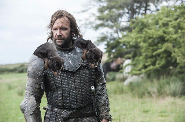 The Pauldrons Of Sandor Clegane