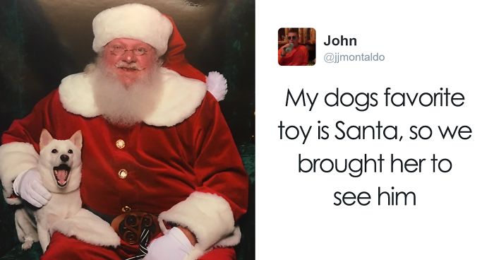 Dog Obsessed With His Stuffed Santa Toy Is Taken To See The Real One, And His Reaction Is Priceless