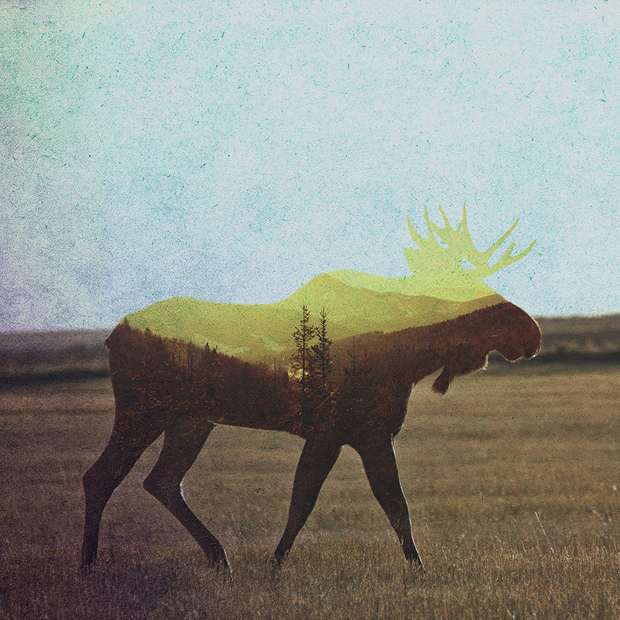 I Combine Animals And Landscapes In My Double Exposure Artwork