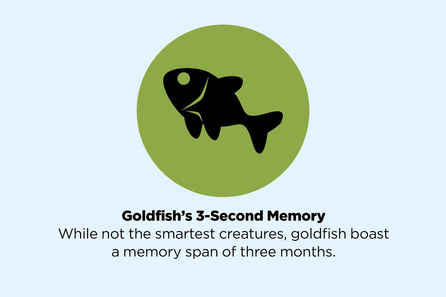 50 Facts That Are Not True