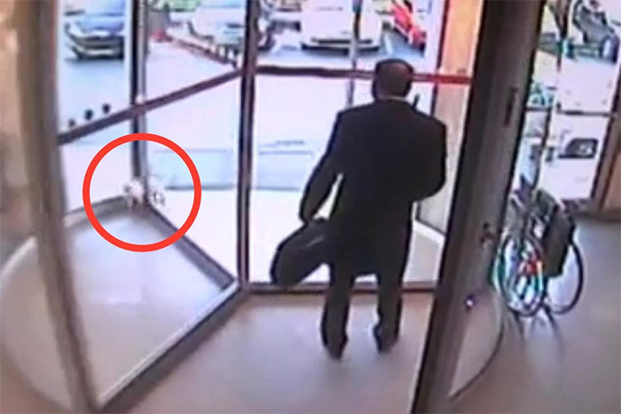 er-doctor-revives-stray-cat-miracle-10 er-doctor-revives-stray-cat-miracle-10