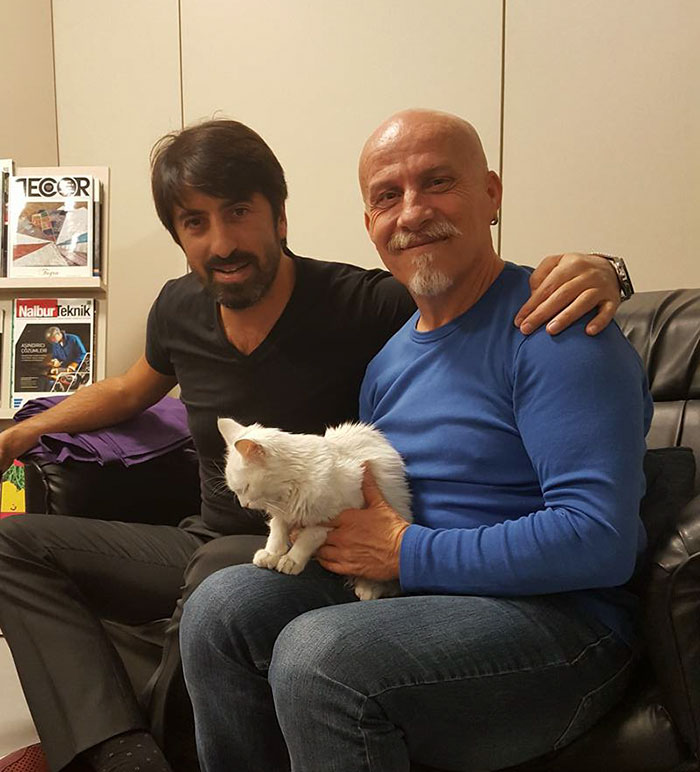 er-doctor-revives-stray-cat-miracle-7 er-doctor-revives-stray-cat-miracle-7