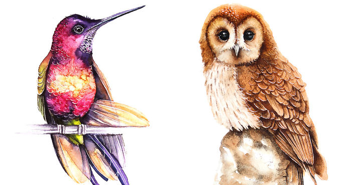 I Watercolor Birds To Express How Much I Love Them