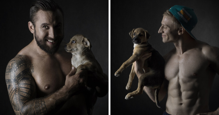 We Created This Calendar To Help Homeless Animals