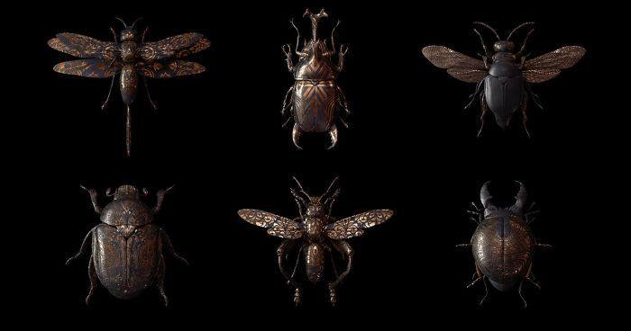 Engraved Entomology: My Project Inspired By Morbid Subjects