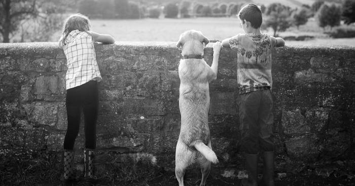 Our Rustic Summer In Wales